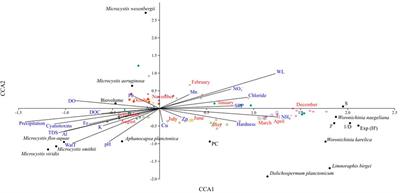 Year-long monitoring of phytoplankton community, toxigenic cyanobacteria, and total microcystins in a eutrophic tropical dam supplying the Mexico megacity